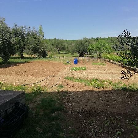 Apartmani Sladic Skradin Kültér fotó