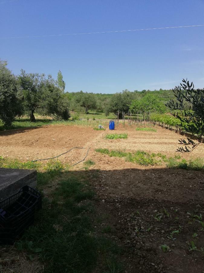 Apartmani Sladic Skradin Kültér fotó